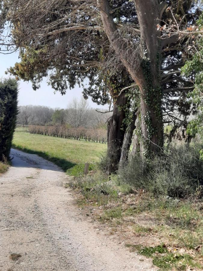 Villa Le Mas des Oliviers à Puget Extérieur photo